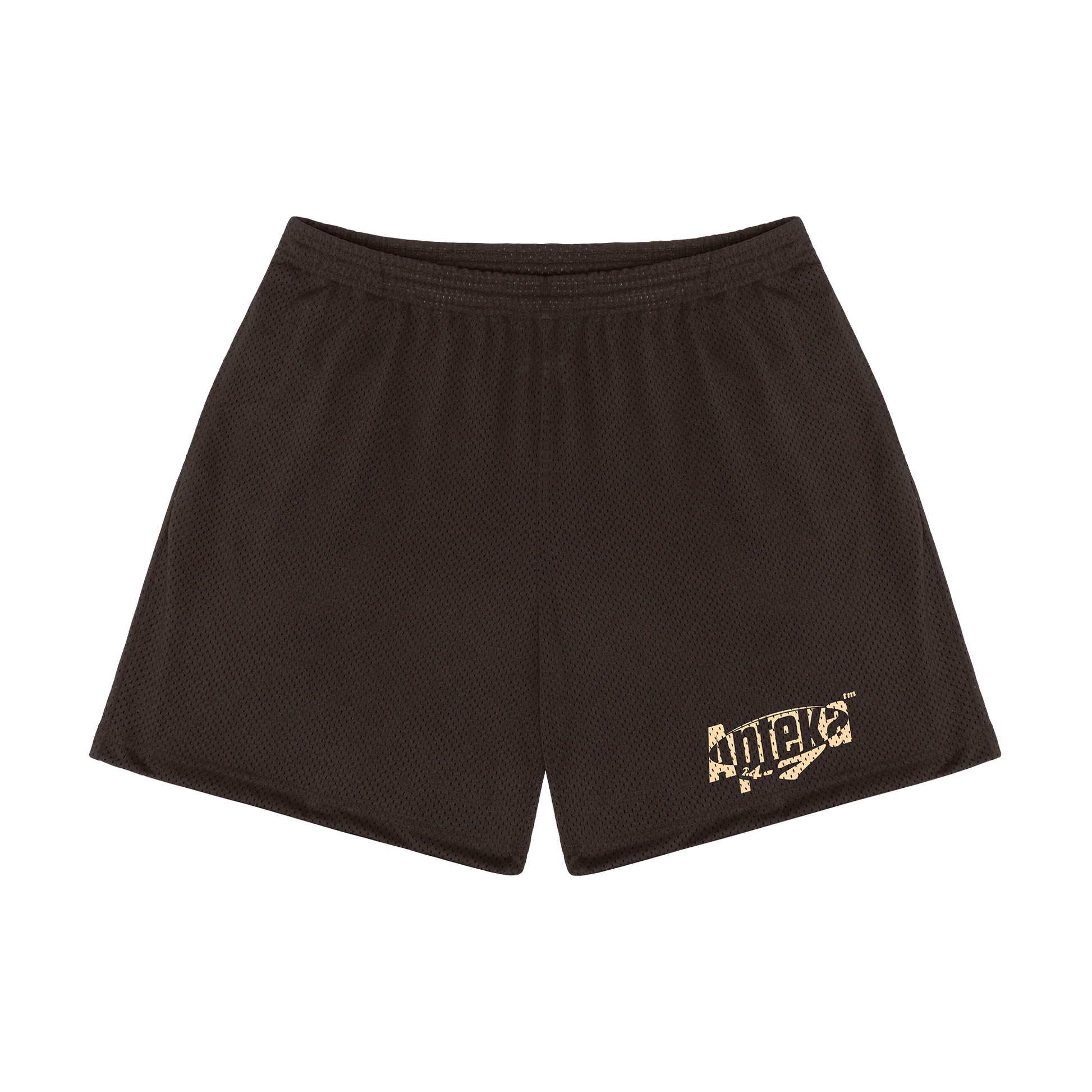 Apteka24x7 Logo Brown Mesh Shorts