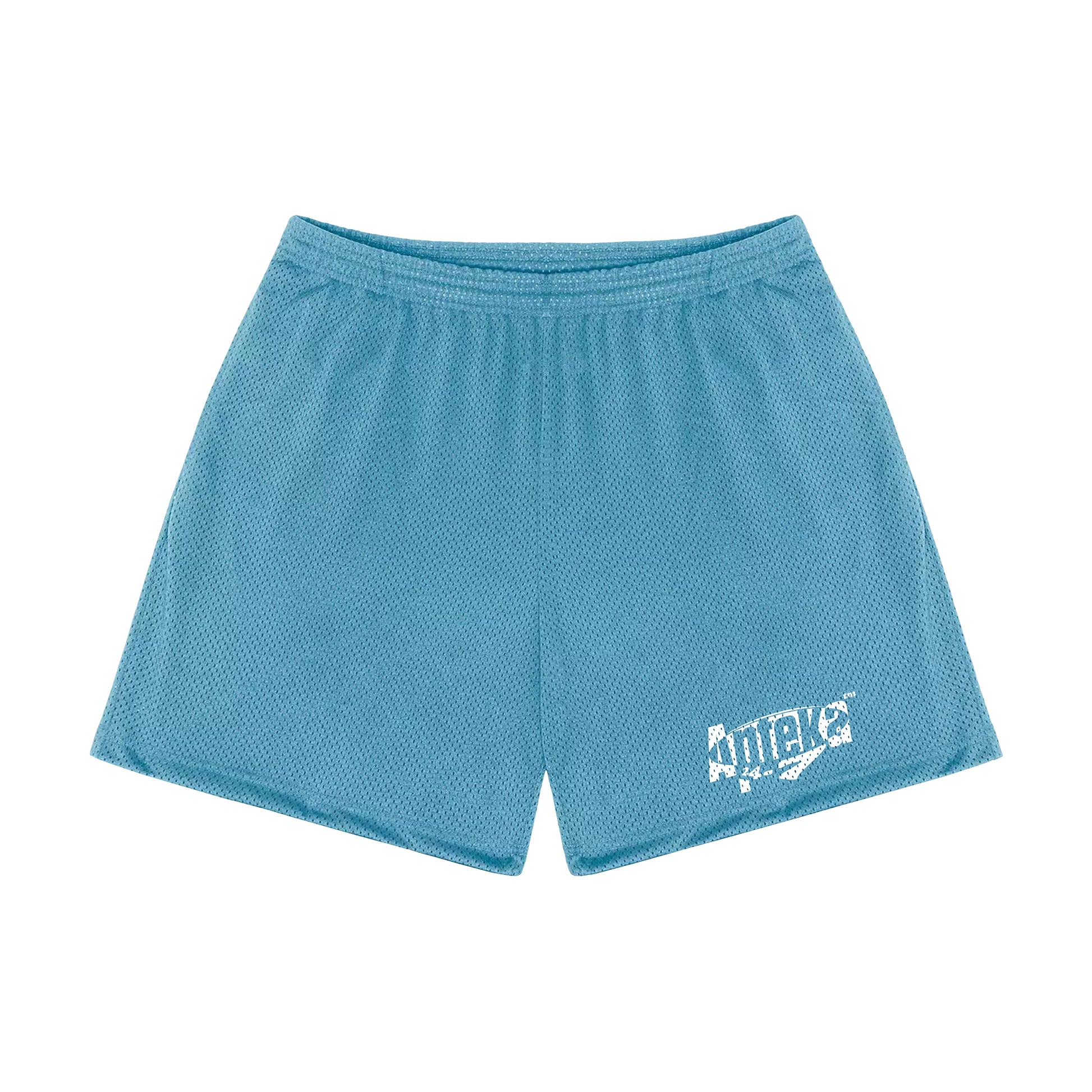 Apteka24x7 Logo Blue Mesh Shorts